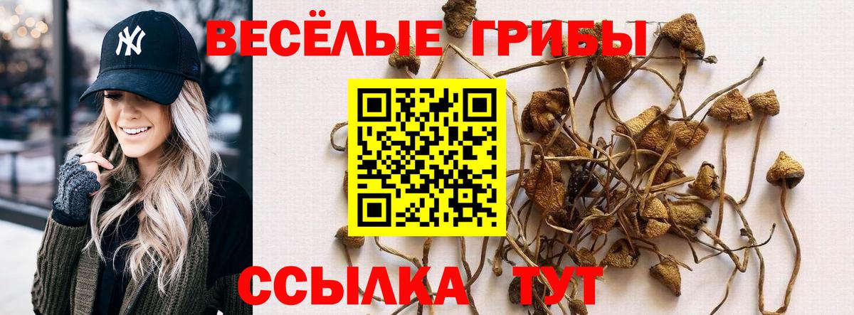 Советская Гавань  Галлюциногенные грибы мухоморы  Вход с VPN 